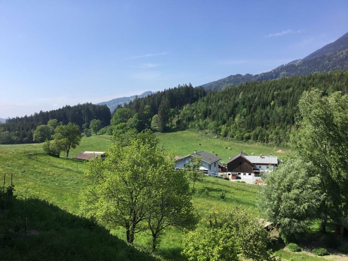 "Natur Pur" Ferienwohnung Mit Eigener Sauna Rons Eksteriør bilde